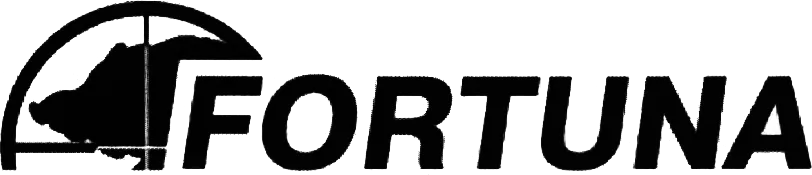 ремонт Fortuna